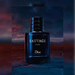 Sauvage Elixir